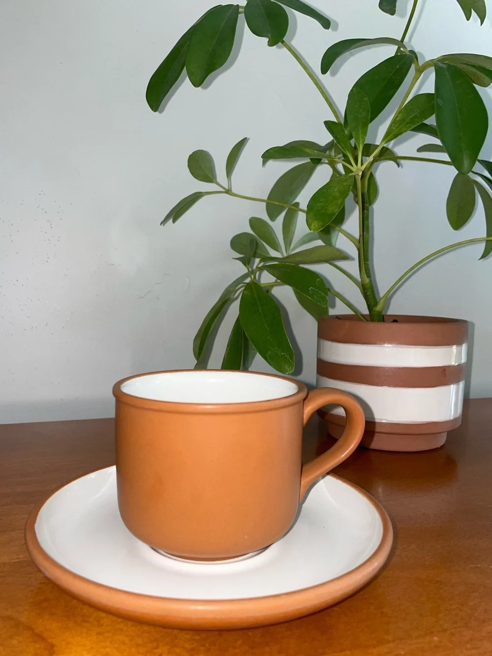 Pottery Barn Terracotta Cup & Saucer